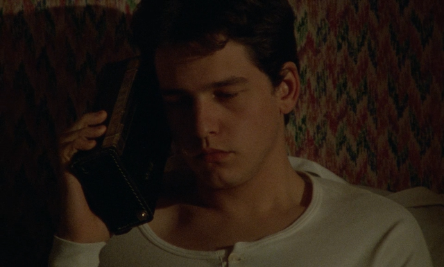 Les roseaux sauvages (1994)-poster