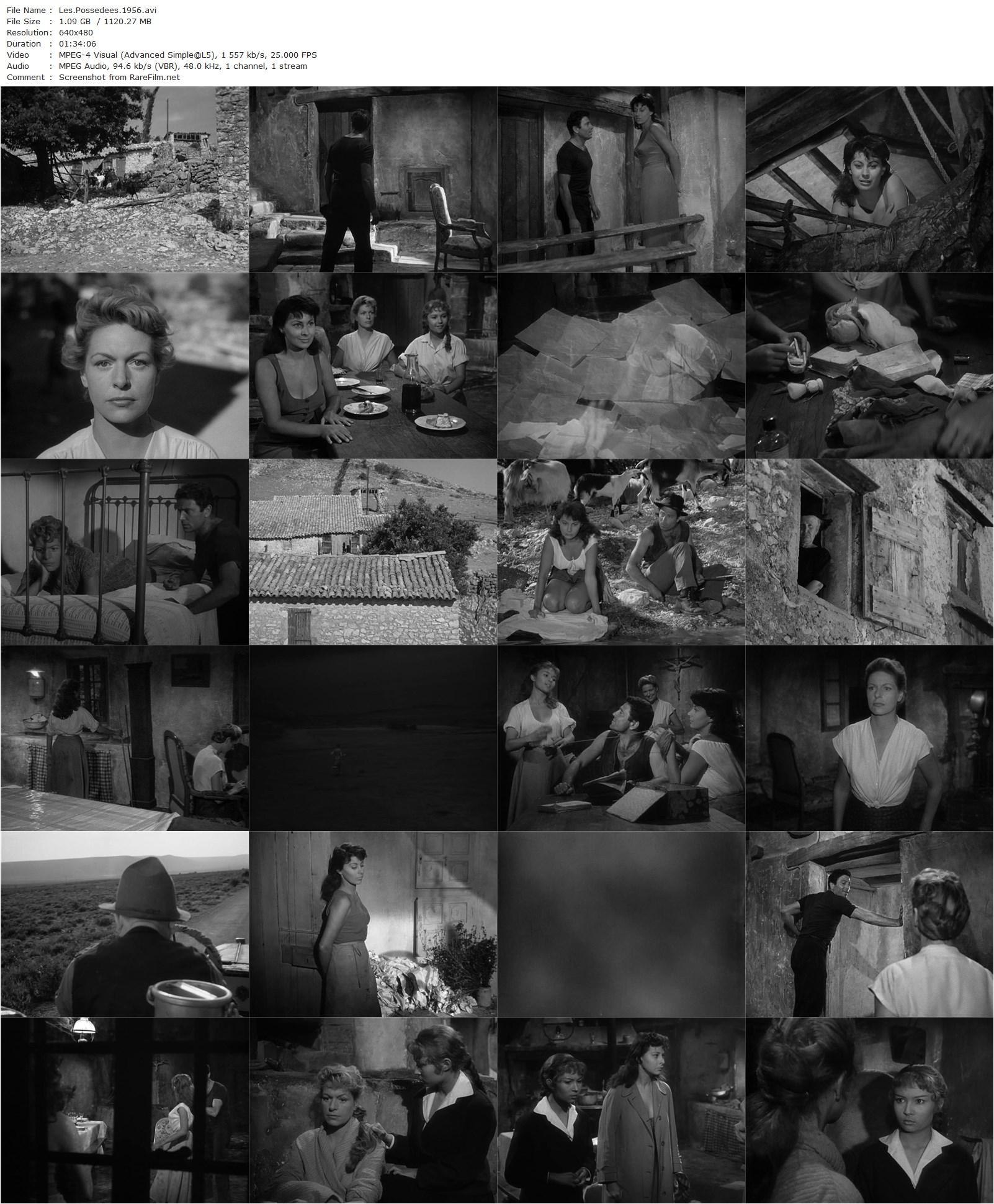 Passionate Summer / Les possédées (1956) Charles Brabant, Madeleine Robinson, Raf Vallone, Magali Noël-poster