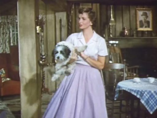 Let’s Be Happy (1957) Henry Levin, Vera-Ellen-poster