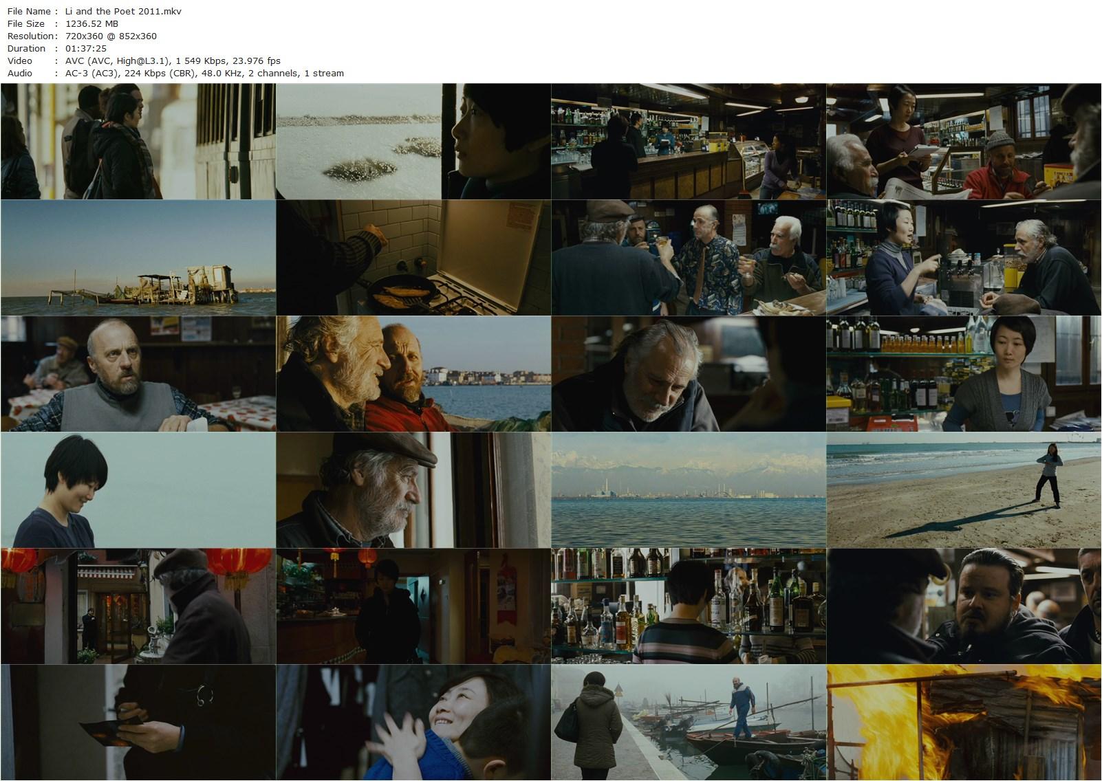 Shun Li and the Poet (2011) Andrea Segre, Tao Zhao, Rade Serbedzija, Marco Paolini-poster