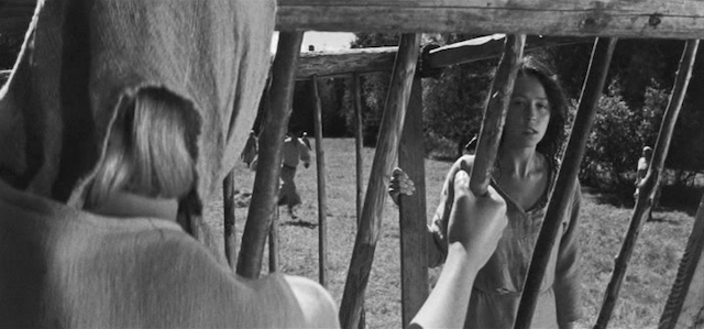 Libahunt (1968)-poster