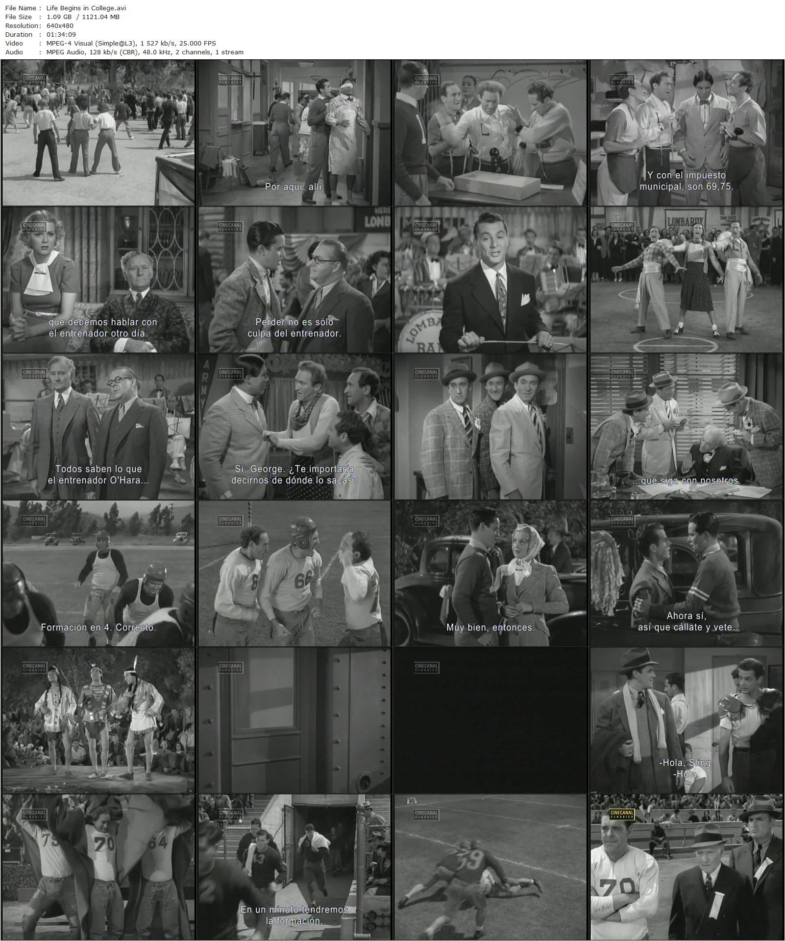 Life Begins in College (1937) William A. Seiter, Al Ritz, Harry Ritz, Jimmy Ritz-poster