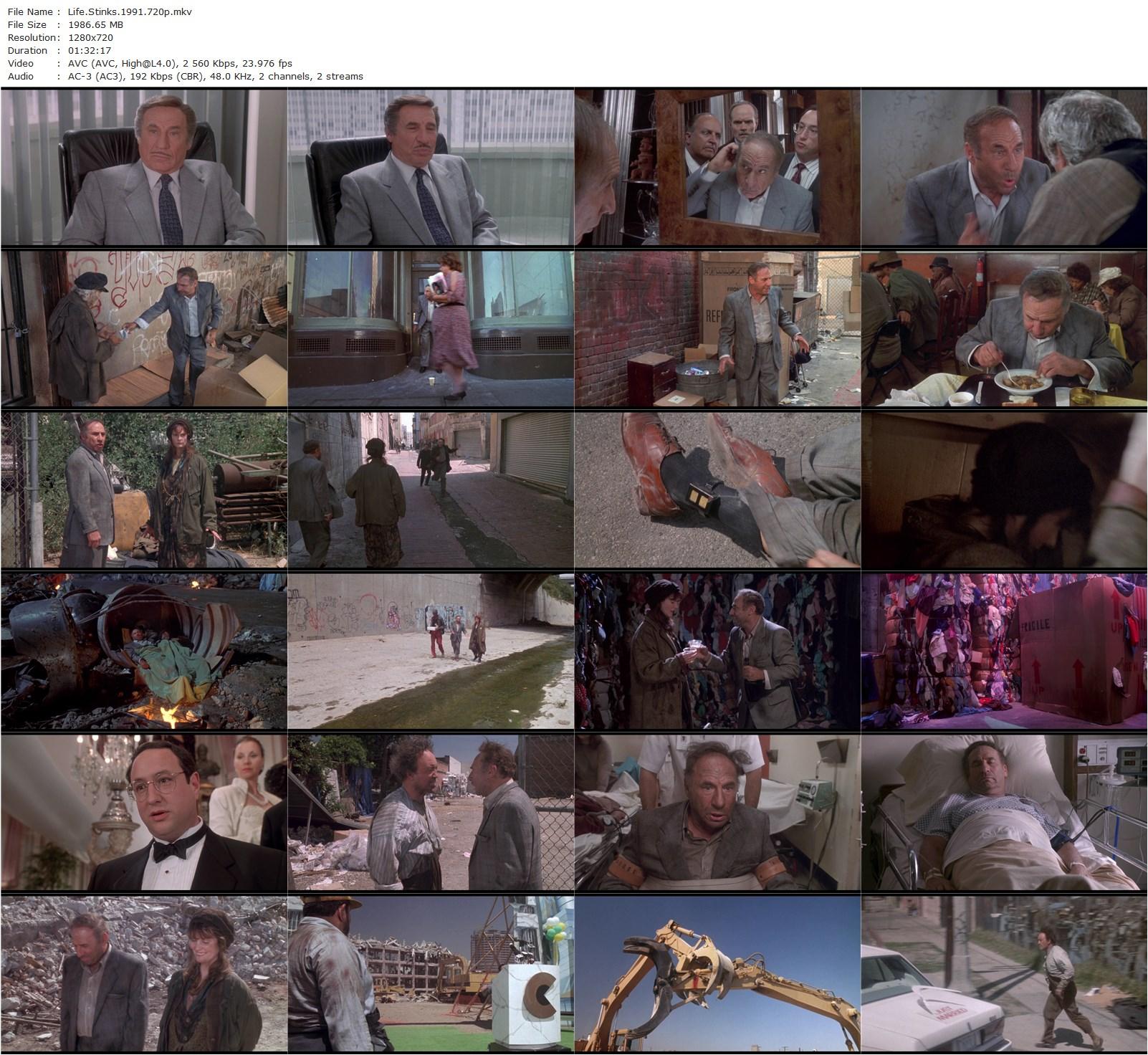 Life Stinks (1991) Mel Brooks, Lesley Ann Warren, Jeffrey Tambor-poster