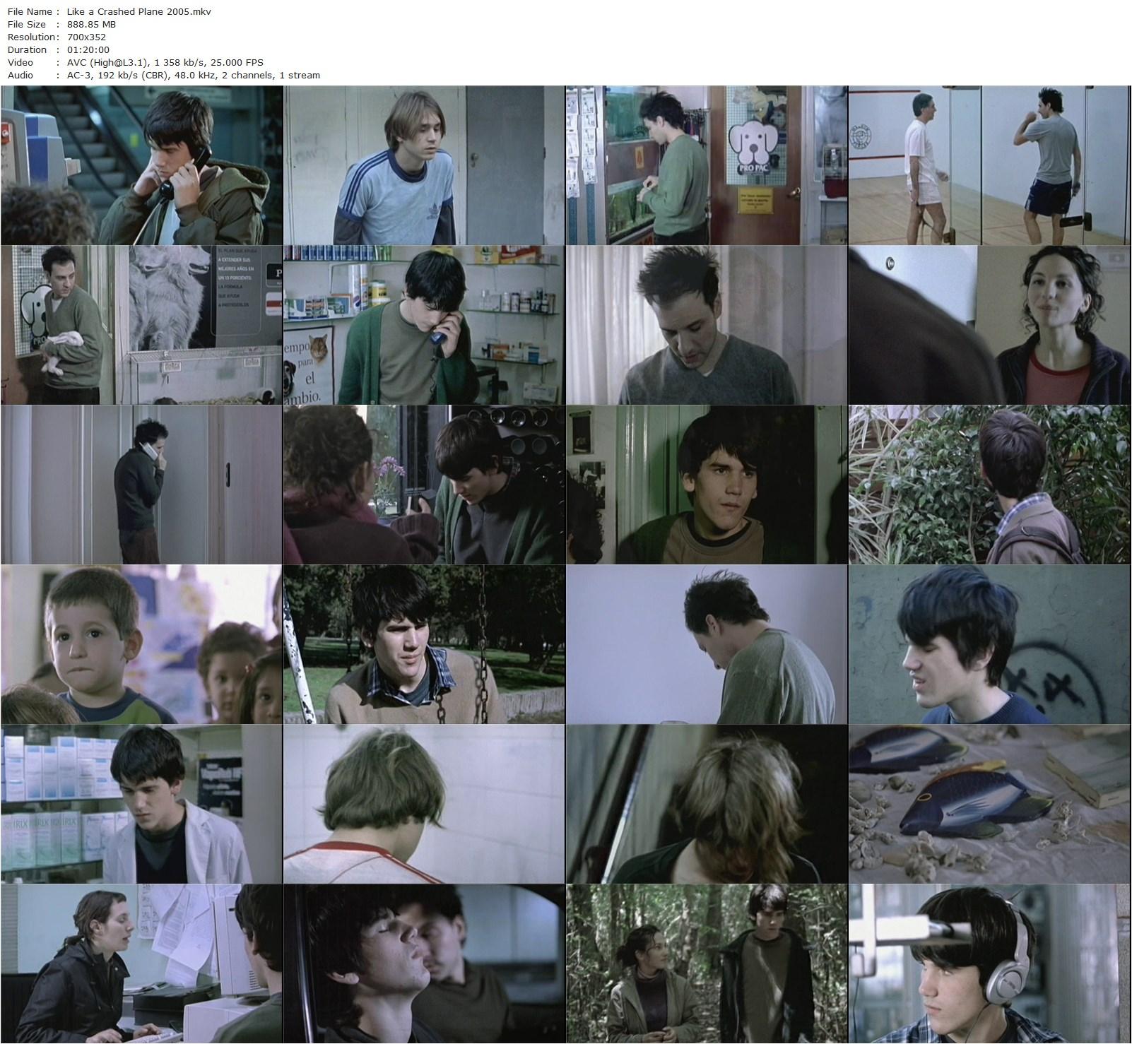 Like a Crashed Plane / Como un avión estrellado (2005) Ezequiel Acuña, Ignacio Rogers, Santiago Pedrero, Manuela Martelli-poster