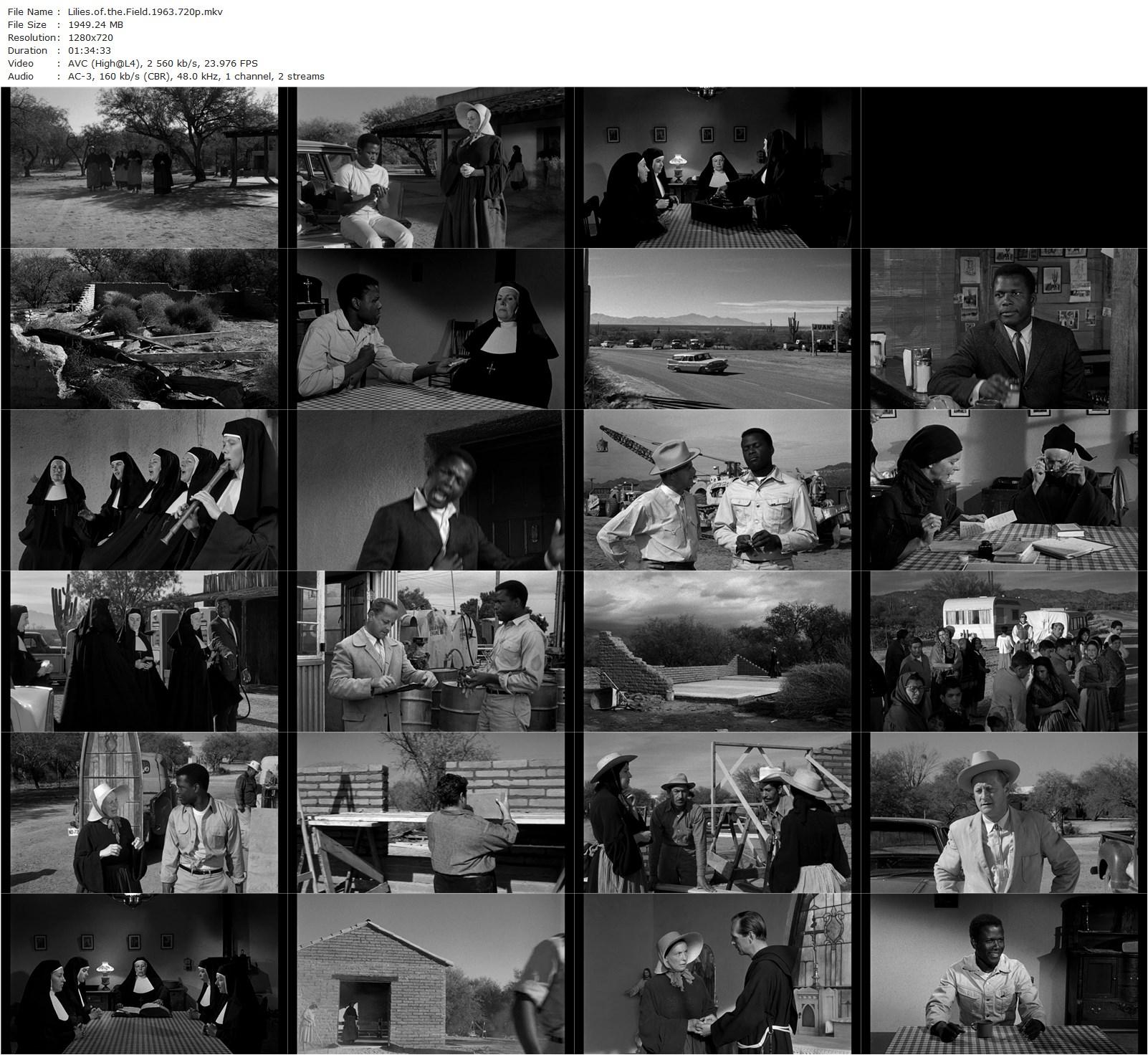 Lilies of the Field (1963) Ralph Nelson, Sidney Poitier, Lilia Skala, Lisa Mann-poster