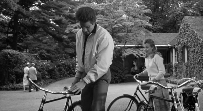 Lilith (1964) Robert Rossen, Warren Beatty, Jean Seberg, Peter Fonda-poster