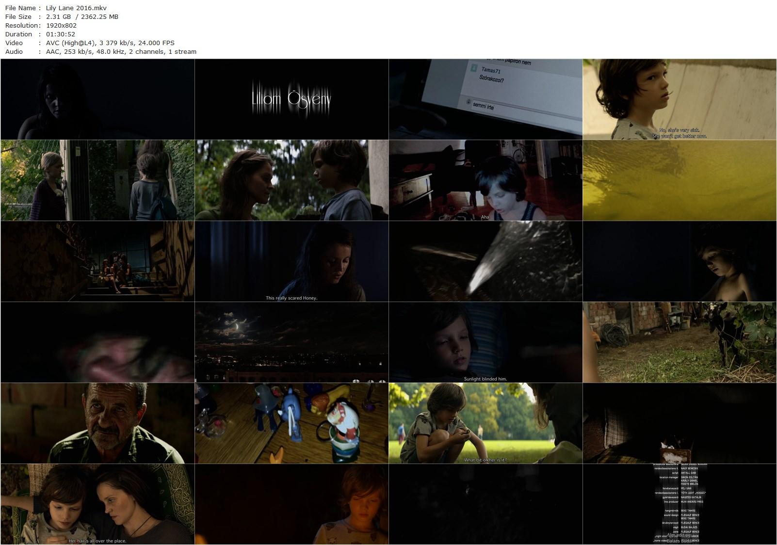 Lily Lane AKA Liliom ösvény (2016) Benedek Fliegauf, Angéla Stefanovics, Bálint Sótonyi, Miklós Székely B.-poster