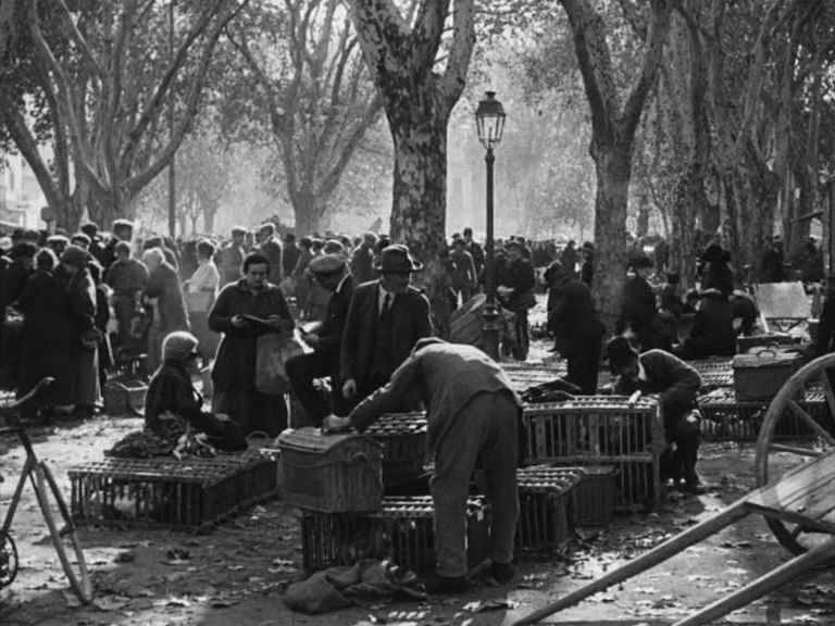 The Flood AKA L’inondation (1924) Louis Delluc, Ève Francis, Edmond Van Daële, Philippe Hériat-poster
