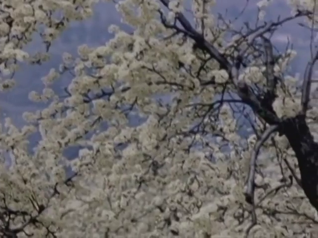 Bruce Baillie - Little Girl (1966 - 2014)-poster