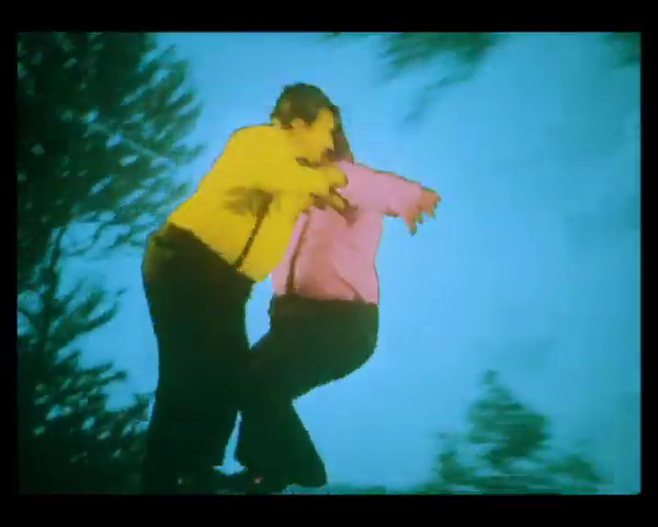 Lokomotywa (1076)-poster