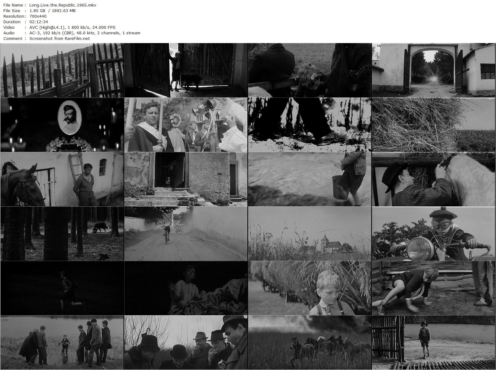 Long Live the Republic / At’ zije Republika (1965) Karel Kachyna, Frank Argus, Josef Barta, Eduard Bredun-poster