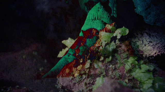 Look Then Below (2019)