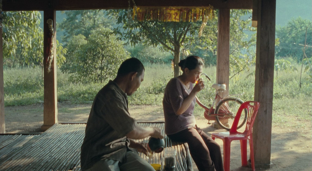 Apichatpong Weerasethakul - Loong Boonmee raleuk chat AKA Uncle Boonmee Who Can Recall His Past Lives (2010)-poster