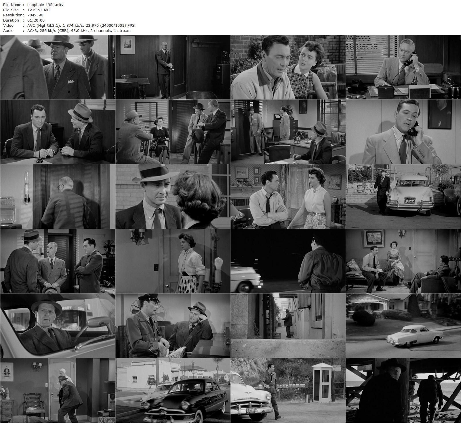 Loophole (1954) Harold D. Schuster, Barry Sullivan, Charles McGraw, Dorothy Malone-poster