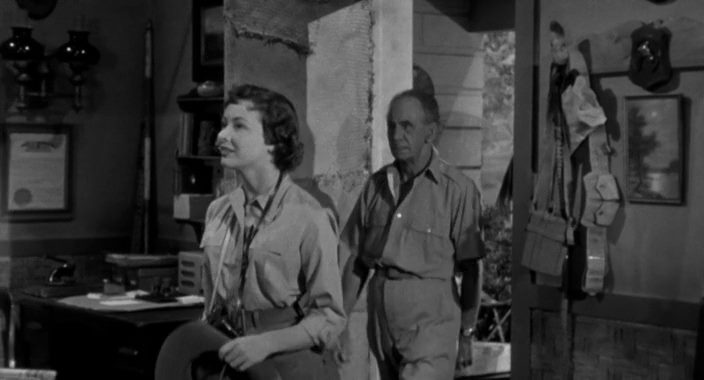 Lord of the Jungle (1955) Ford Beebe, Johnny Sheffield, Wayne Morris, Nancy Hale, Adventure-poster