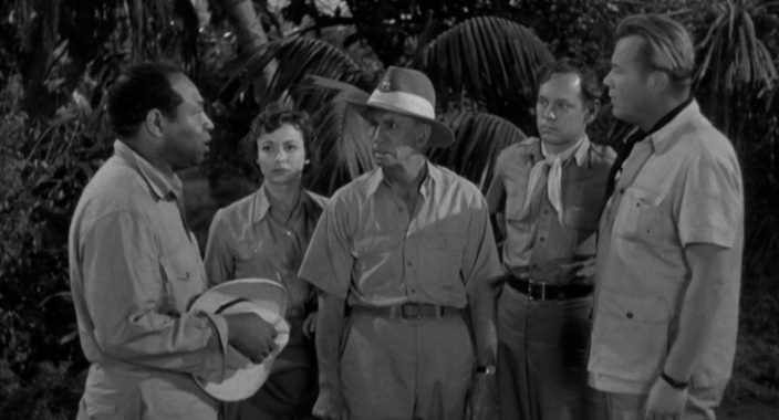 Lord of the Jungle (1955) Ford Beebe, Johnny Sheffield, Wayne Morris, Nancy Hale, Adventure-poster