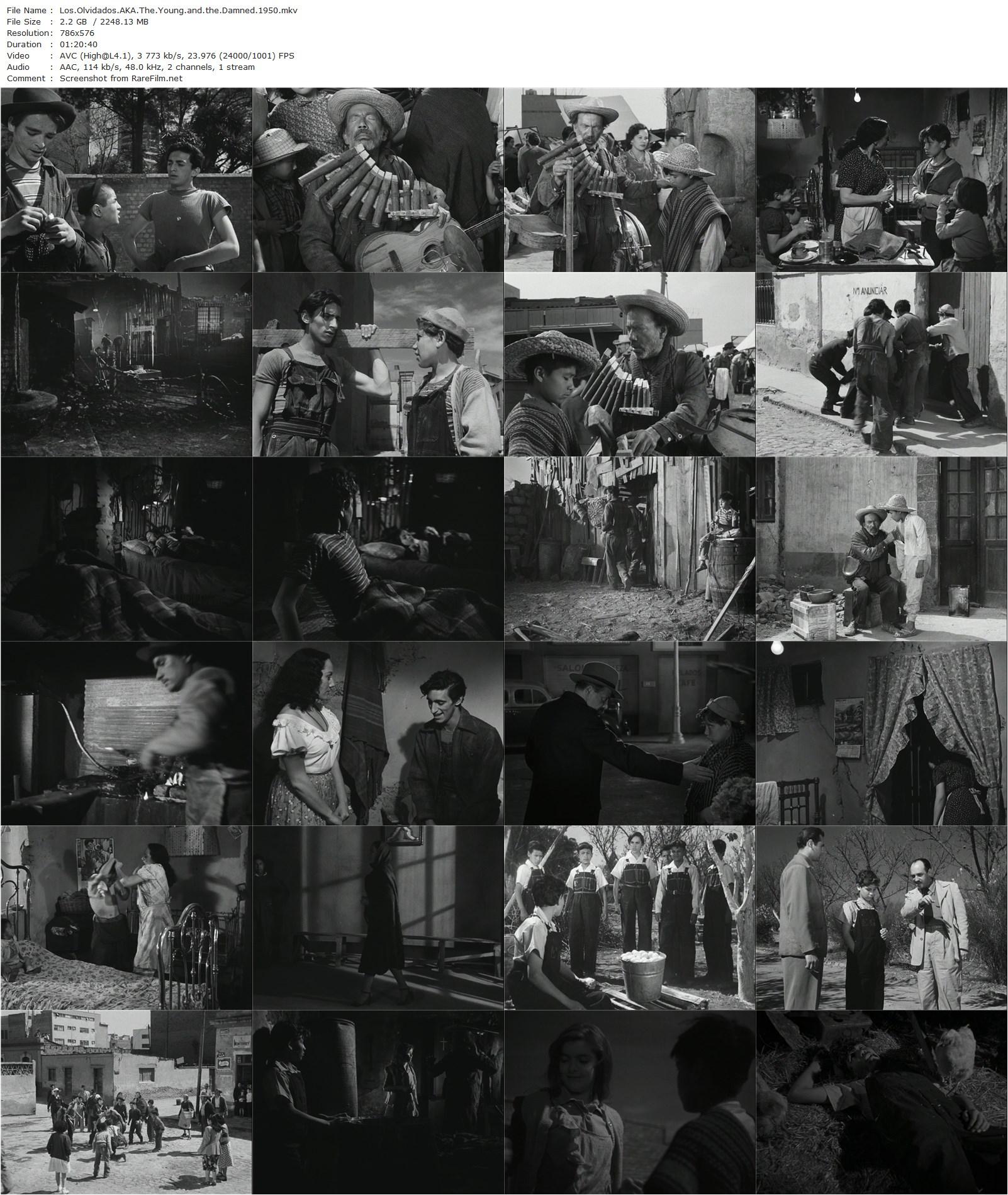 The Young and the Damned (1950) Luis Buñuel-poster