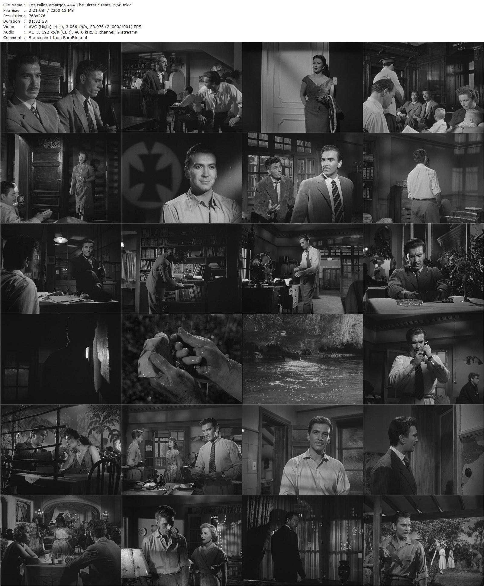 The Bitter Stems / Los tallos amargos (1956) Fernando Ayala, Carlos Cores, Aída Luz, Julia Sandoval-poster