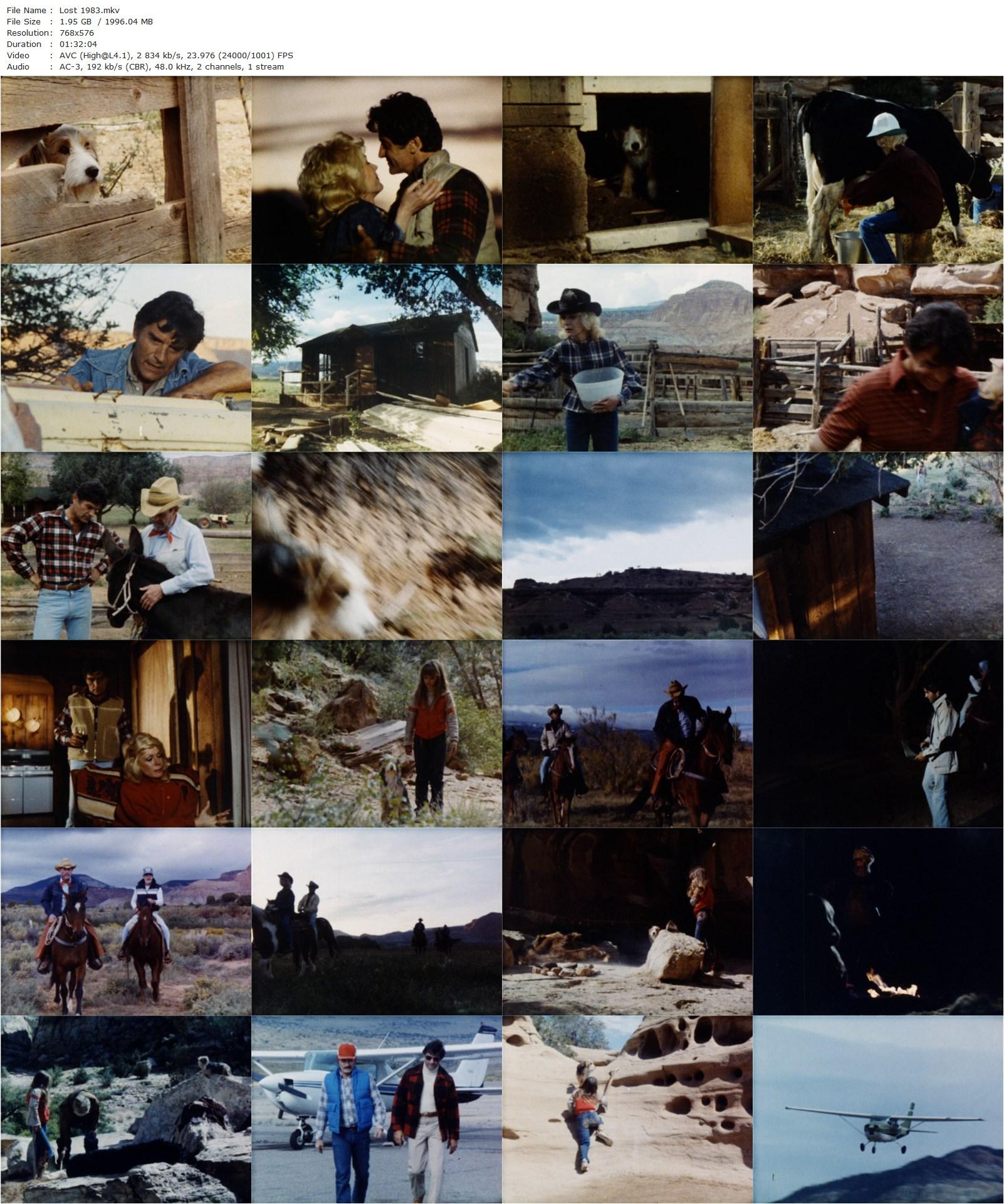 Lost (1983) Al Adamson, Sandra Dee, Don Stewart, Sheila Newhouse-poster