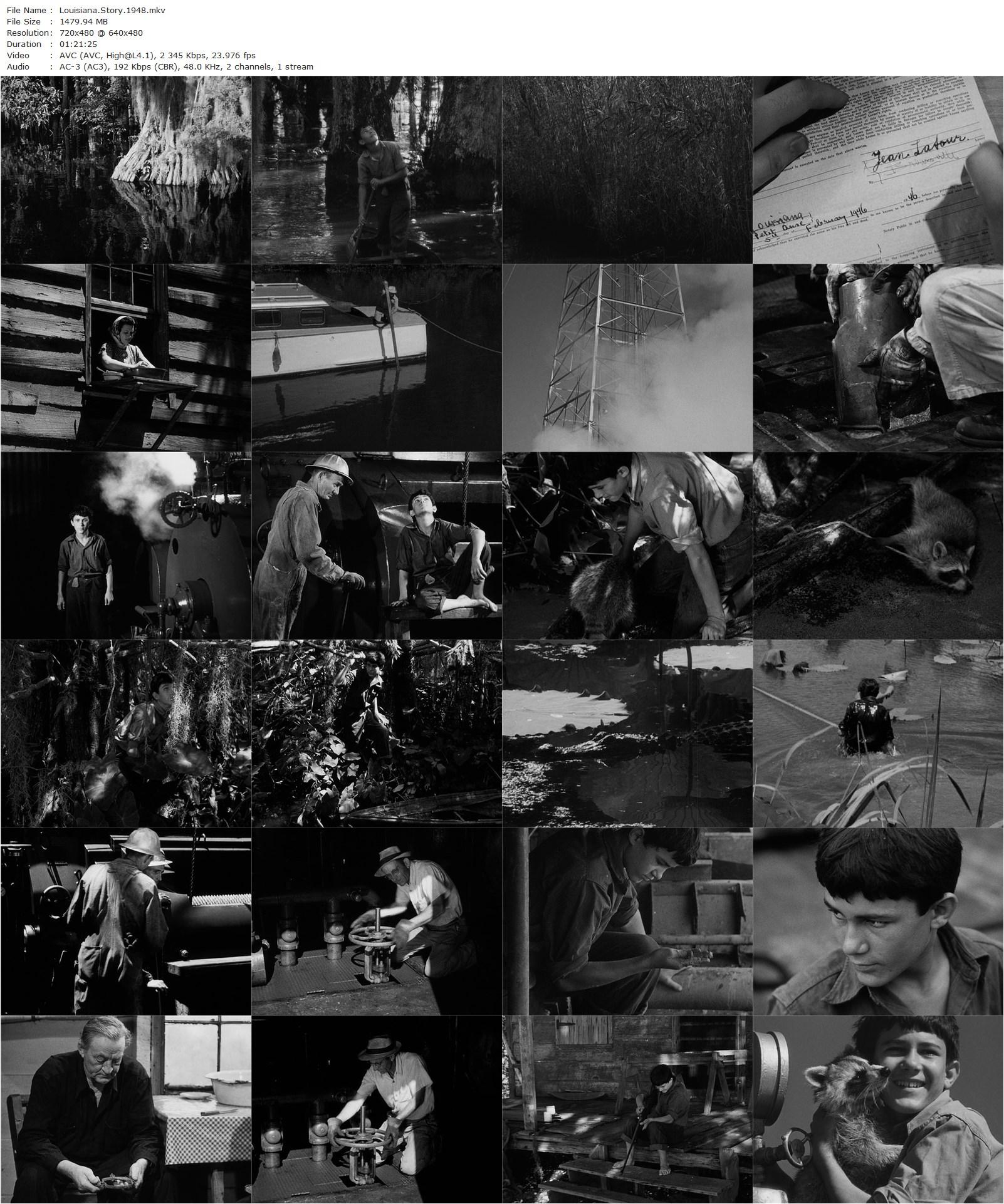 Louisiana Story (1948) Robert J. Flaherty, Joseph Boudreaux, Lionel Le Blanc, E. Bienvenu-poster