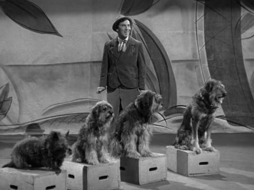 Love Happy (1949) David Miller, Groucho Marx, Harpo Marx, Chico Marx-poster