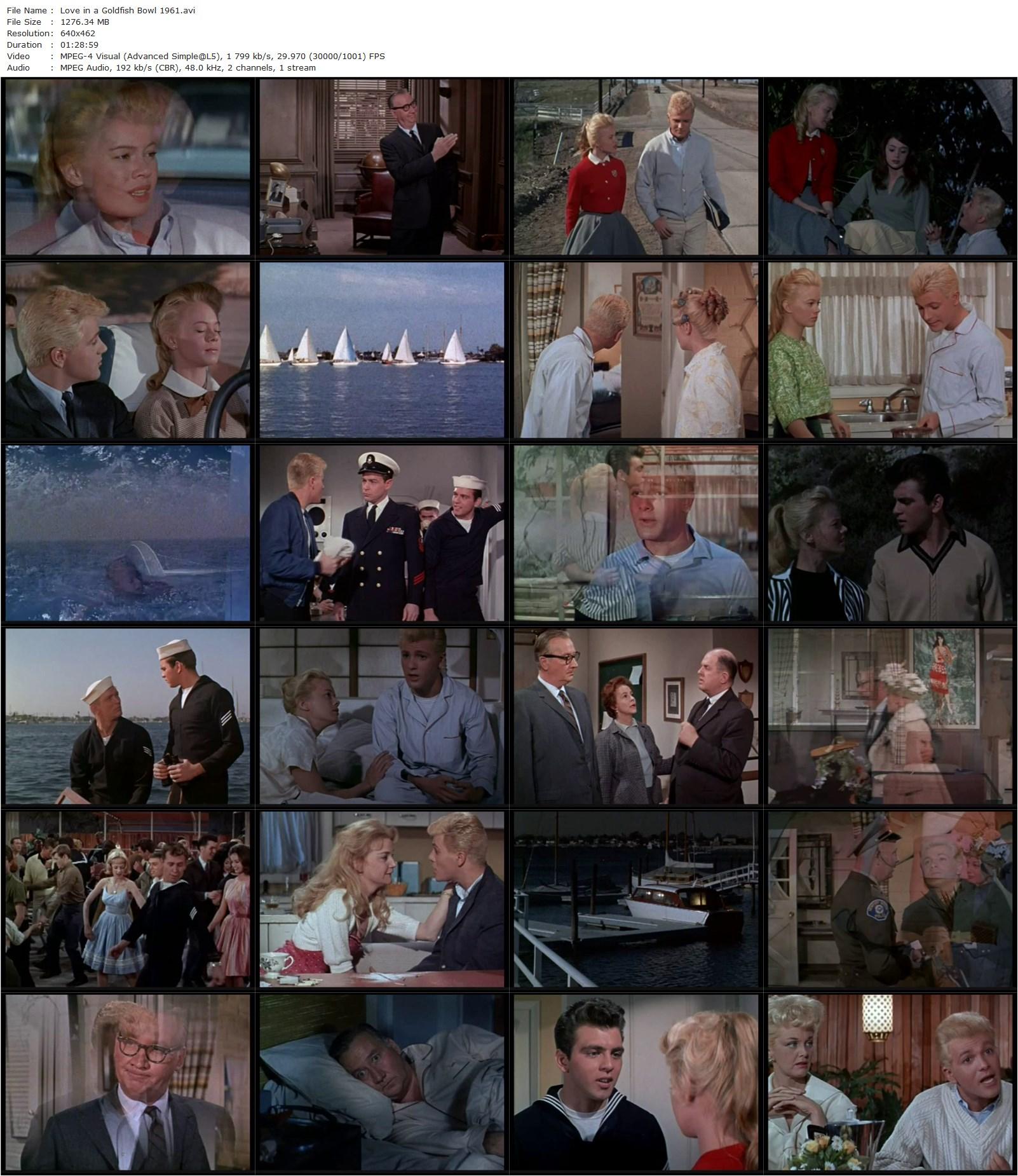 Love in a Goldfish Bowl (1961) Jack Sher-poster