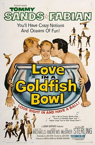 Love in a Goldfish Bowl (1961) Jack Sher