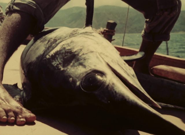 Vittorio De Seta - Lu tempu di li pisci spata AKA The Age of Swordfish (1955)-poster