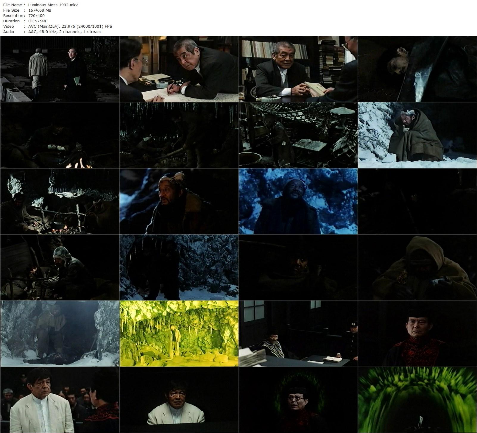 Luminous Moss AKA Hikarigoke (1992) Kei Kumai, Rentarô Mikuni, Hisashi Igawa, Satoko Iwasaki-poster