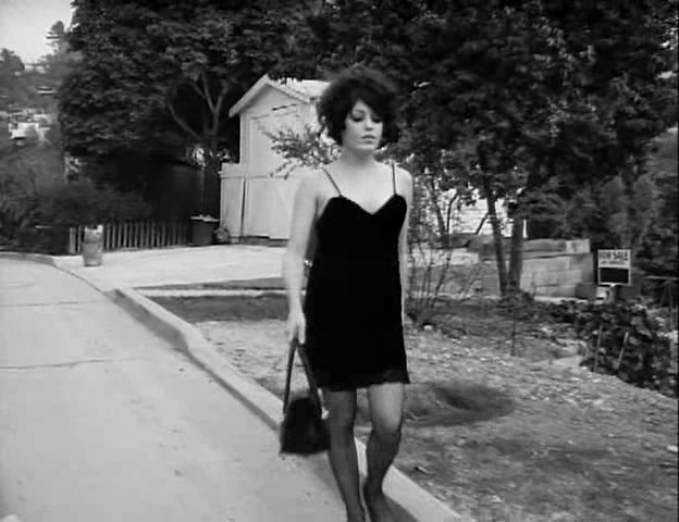 Lustful Addiction (1969)