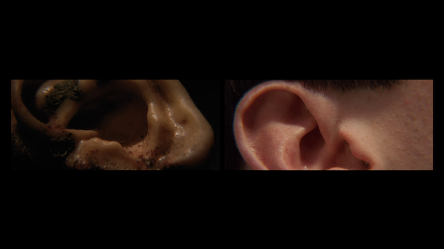 Lynch/Oz (2022)-poster