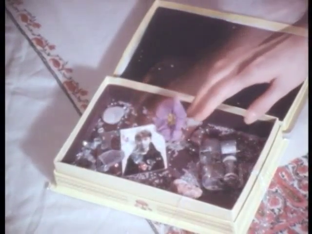 Lynx Reel (1987)-poster