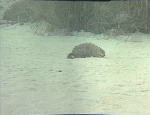 Lyutyy AKA The Ferocious One (1974) directed by Tolomush Okeev-poster