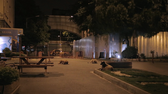 Phases of Matter (2020) | Worldscinema | Download Free-poster