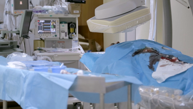 Phases of Matter (2020) | Worldscinema | Download Free-poster