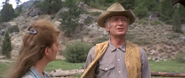 Mail Order Bride (1964) Burt Kennedy, Buddy Ebsen, Keir Dullea, Lois Nettleton, Comedy, Western-poster