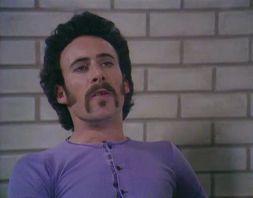 Malcolm Bradbury's The History Man (1980) by Robert Knights-poster