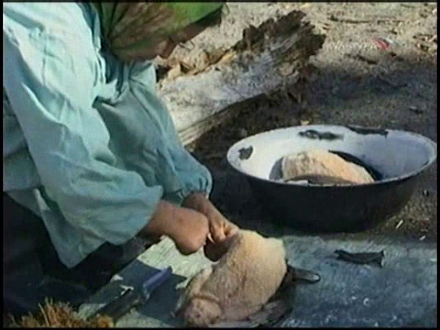 Ivan Golovnev - Malenkaya Katerina AKA Tiny Katerina (2004)-poster