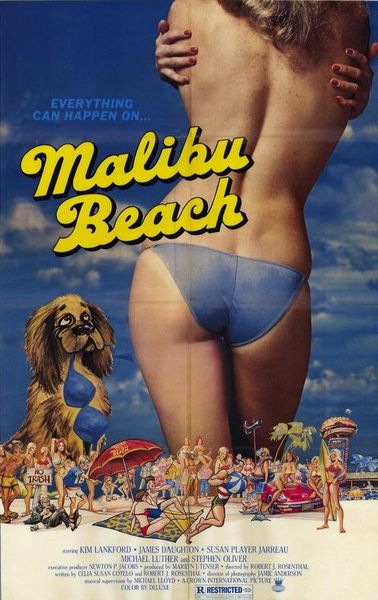 Malibu Beach (1978) Robert J. Rosenthal