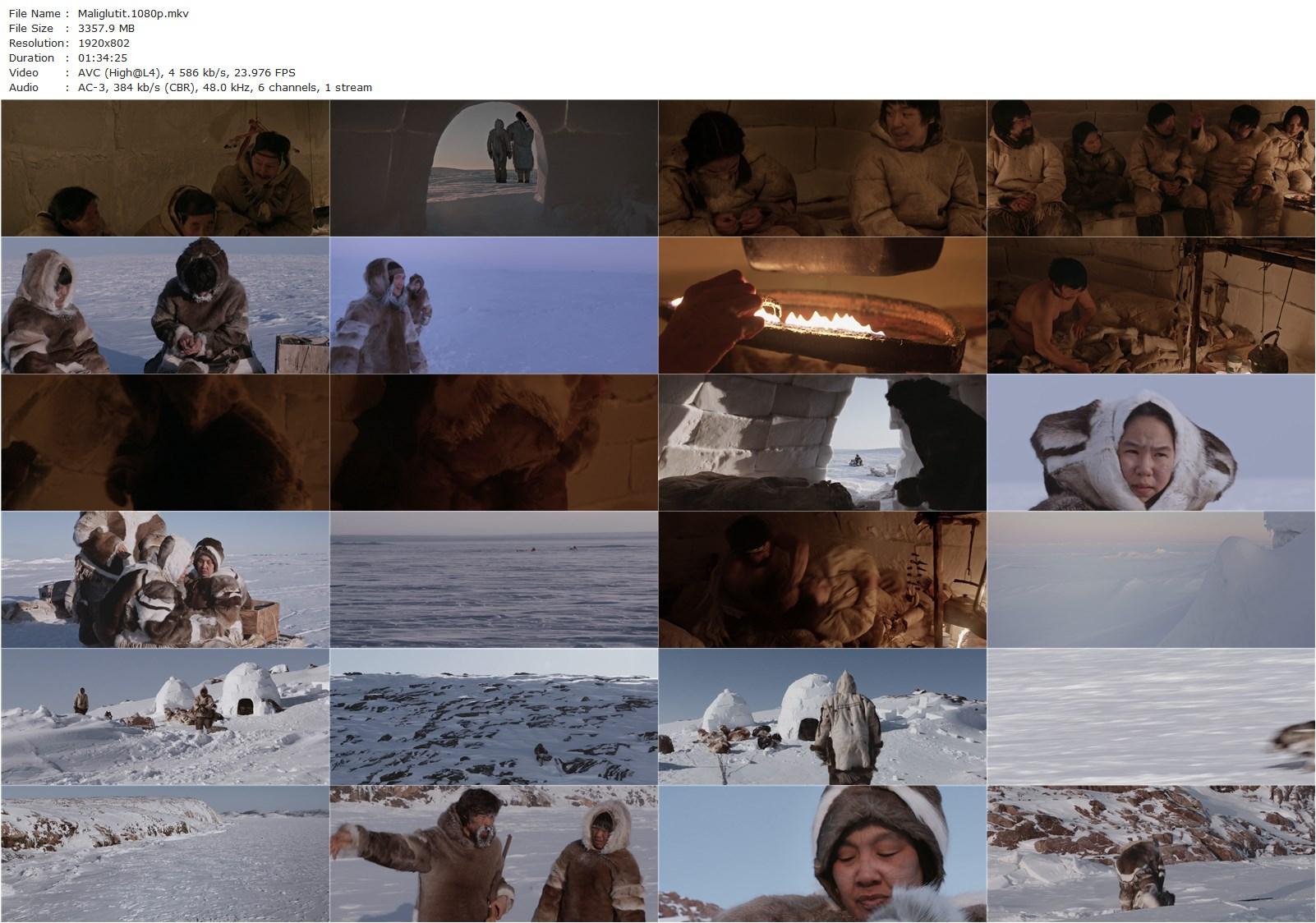 Searchers / Maliglutit (2016)-poster