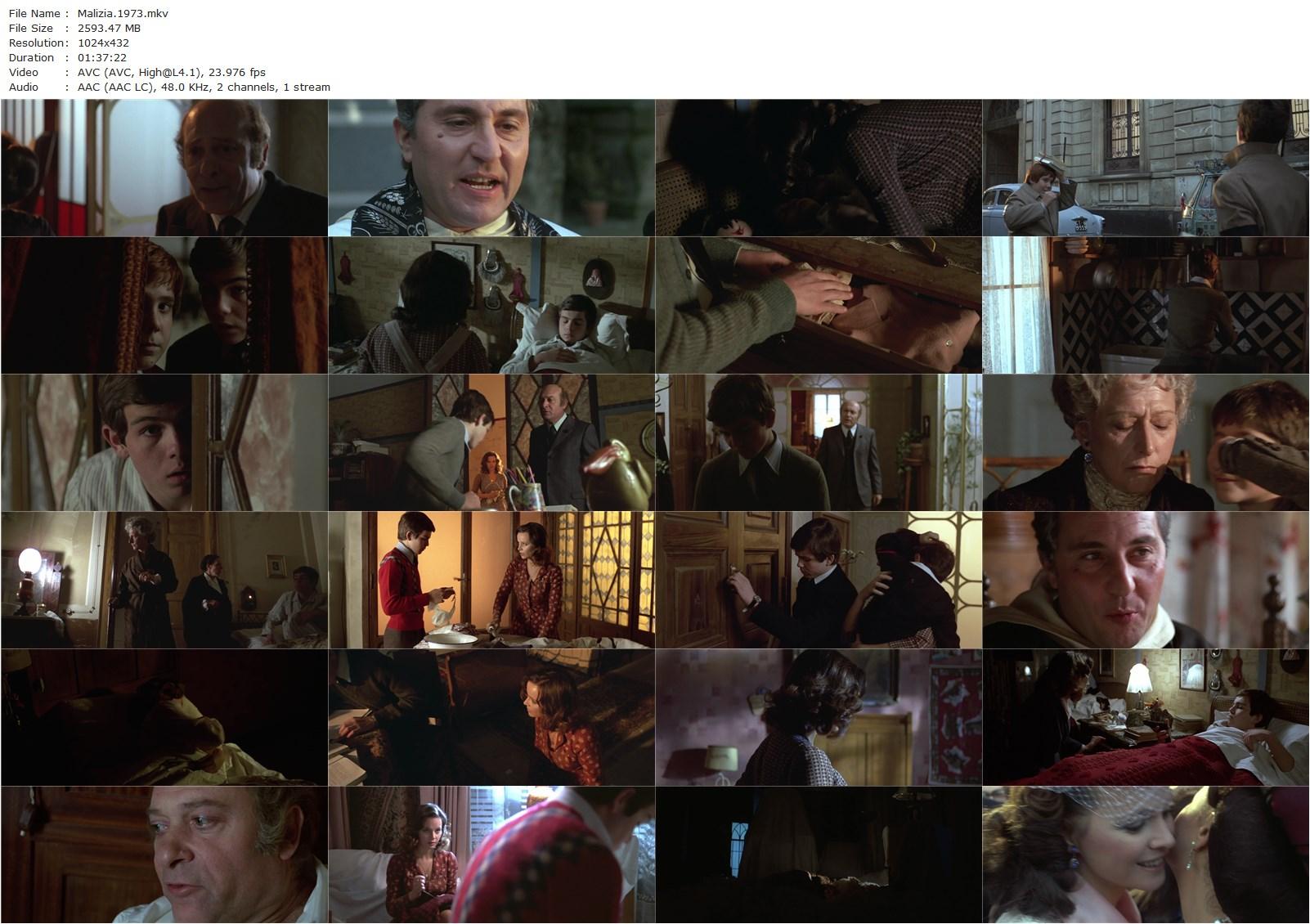 Malicious (1973) Salvatore Samperi, Laura Antonelli, Turi Ferro, Alessandro Momo-poster