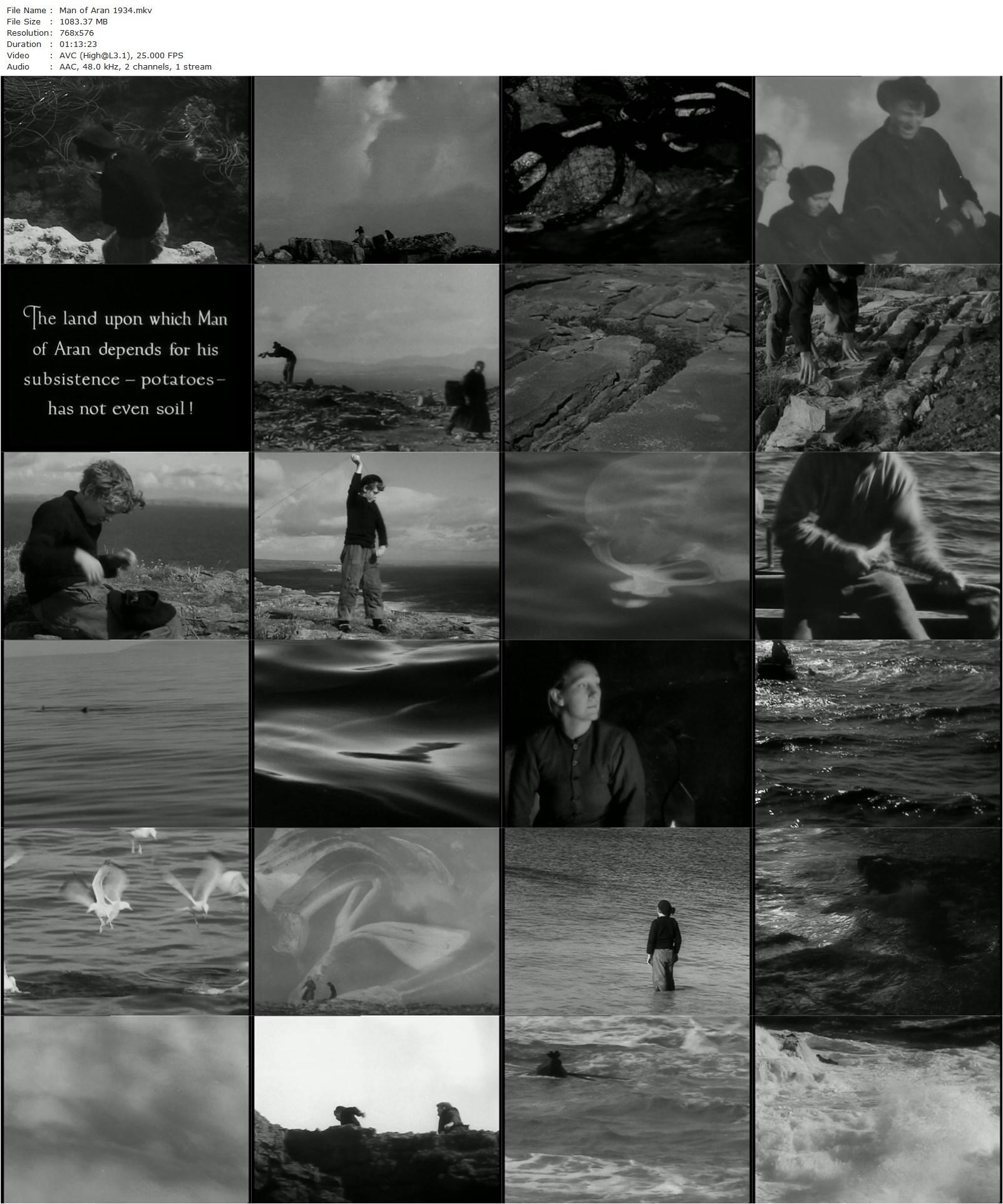 Man of Aran (1934) Robert J. Flaherty, Colman ‘Tiger’ King, Maggie Dirrane, Michael Dirrane-poster