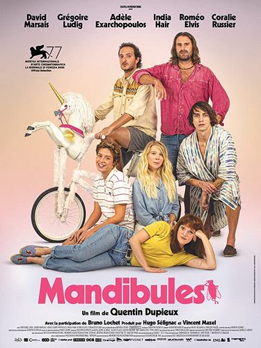 Mandibles AKA Mandibules (2020) Quentin Dupieux, Grégoire Ludig, David Marsais, Adèle Exarchopoulos
