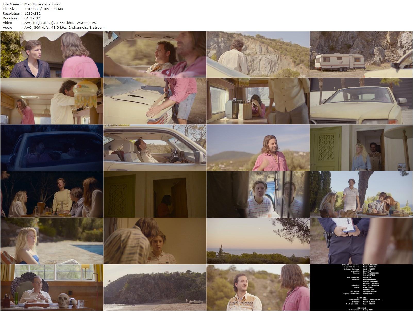 Mandibles AKA Mandibules (2020) Quentin Dupieux, Grégoire Ludig, David Marsais, Adèle Exarchopoulos-poster