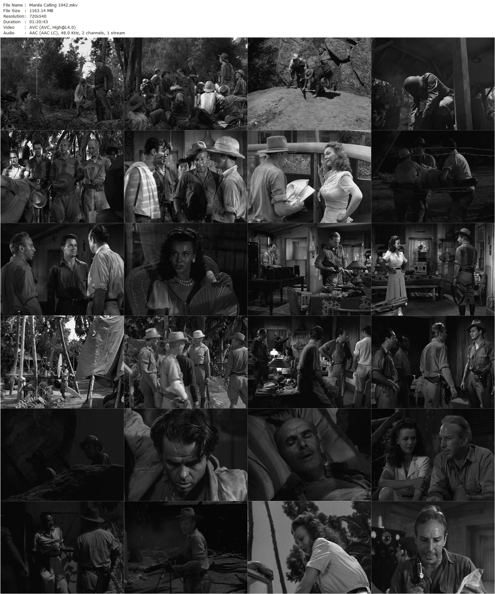 Manila Calling (1942) Herbert I. Leeds, Lloyd Nolan, Carole Landis, Cornel Wilde-poster