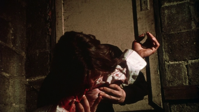 George A. Romero - Martin [+commentary] (1977)-poster