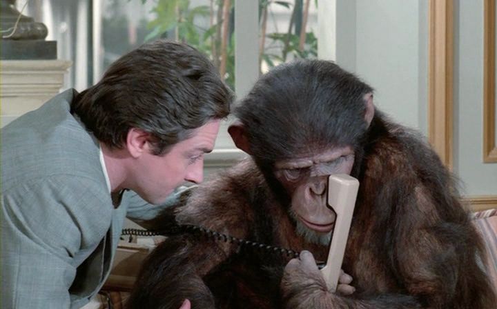 Max Mon Amour / Max My Love (1986) Nagisa Ôshima, Charlotte Rampling, Anthony Higgins, Victoria Abril, Comedy-poster