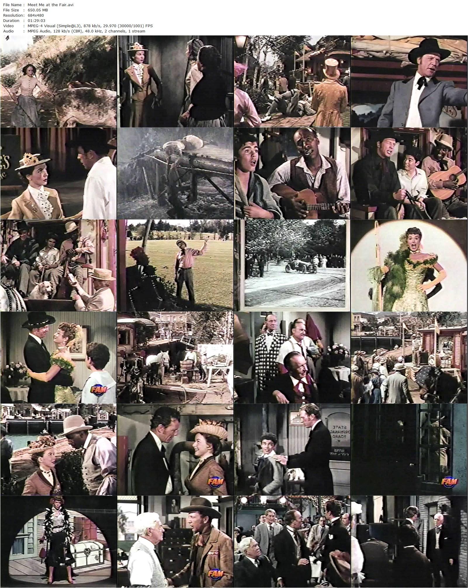 Meet Me at the Fair (1953) Douglas Sirk-poster