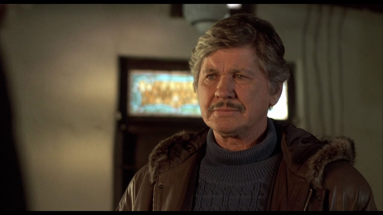 Messenger of Death (1988) J. Lee Thompson, Charles Bronson, Trish Van Devere, Laurence Luckinbill, Action, Crime, Thriller-poster