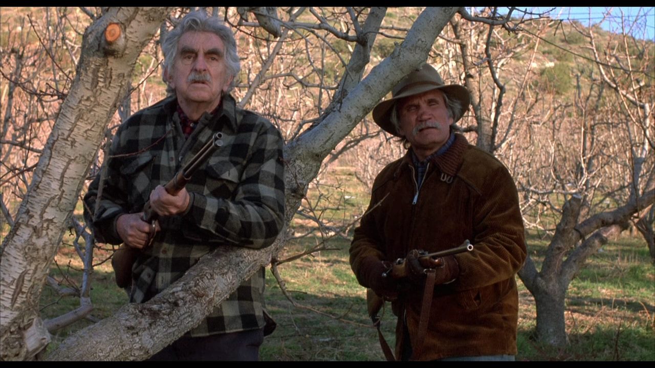 Messenger of Death (1988) J. Lee Thompson, Charles Bronson, Trish Van Devere, Laurence Luckinbill, Action, Crime, Thriller-poster